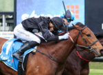 Two jockeys race side by side on brown horses in a close finish, wearing blue and black silks and helmets under a stadium backdrop.