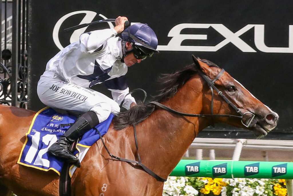 Jockey in white silks and blue helmet riding a brown horse over a hurdle during a race, with sponsor signage in the background.