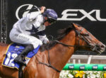 Jockey in white silks and blue helmet riding a brown horse over a hurdle during a race, with sponsor signage in the background.