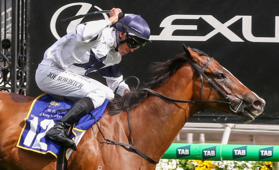 Jockey in white silks and blue helmet riding a brown horse over a hurdle during a race, with sponsor signage in the background.