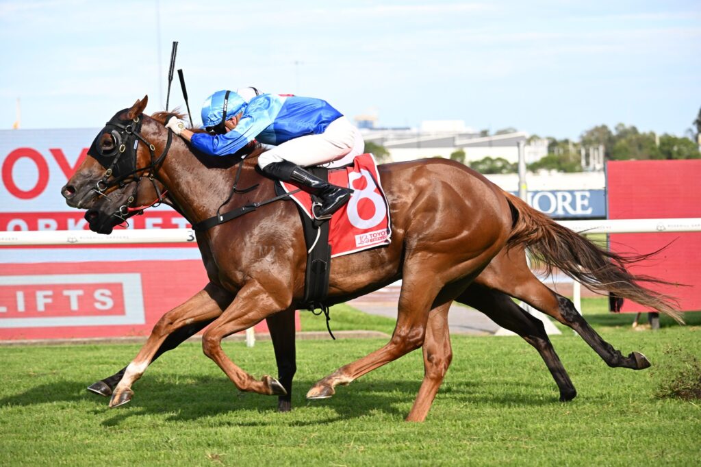 Two jockeys on brown horses sprint over a hurdle during a flat horse race, with green grass and red advertising boards in the background.