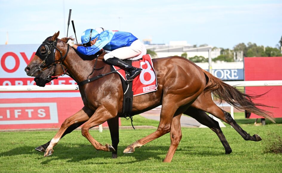 Two jockeys on brown horses sprint over a hurdle during a flat horse race, with green grass and red advertising boards in the background.