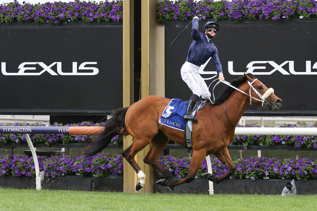 Jockey in navy riding a brown horse mid-jump over a hurdle at a racecourse, with Lexus signage and purple flowers in the background.