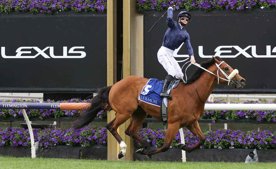 Jockey in navy riding a brown horse mid-jump over a hurdle at a racecourse, with Lexus signage and purple flowers in the background.