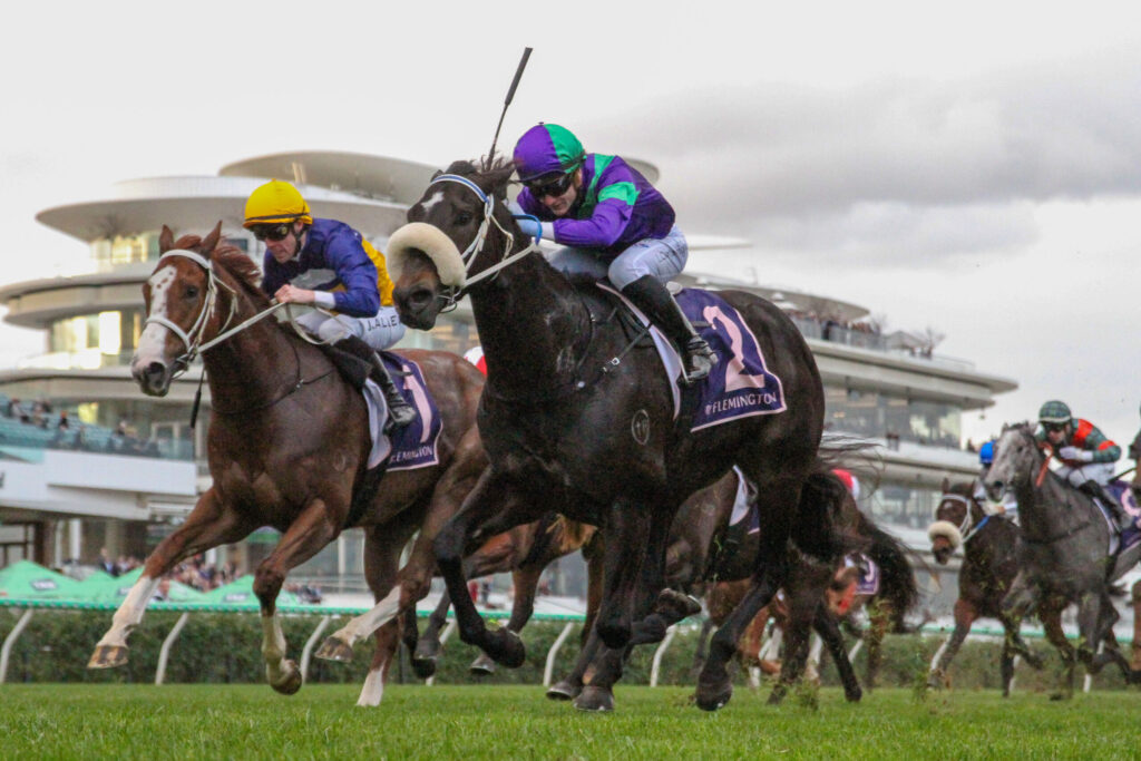 Jockeys race on fast-moving horses on a grassy track at Flemington, colorful silks flying as spectators watch.