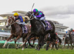 Jockeys race on fast-moving horses on a grassy track at Flemington, colorful silks flying as spectators watch.
