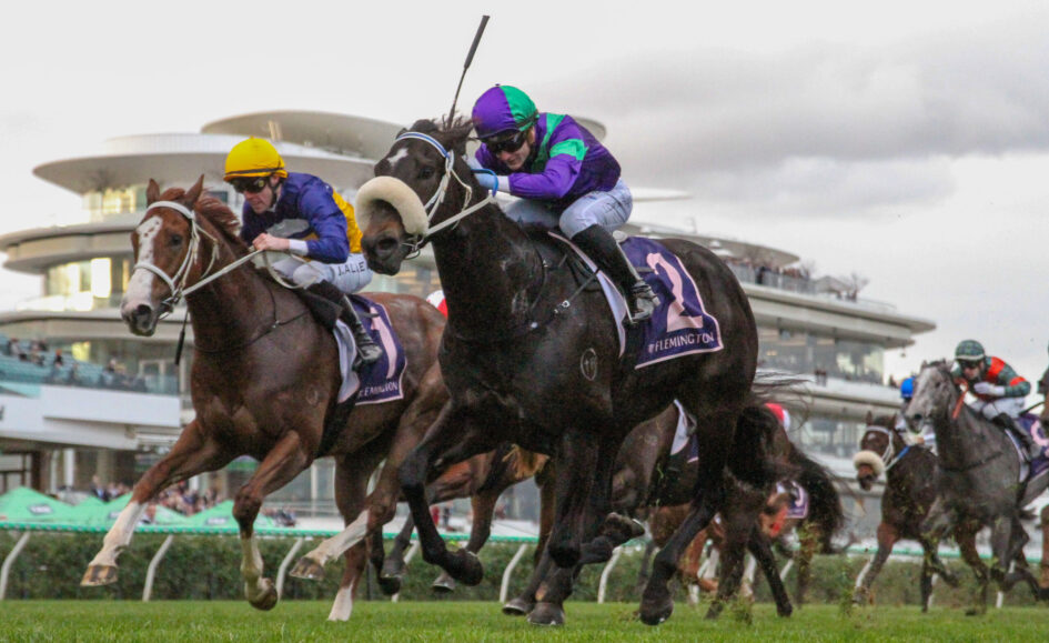 Jockeys race on fast-moving horses on a grassy track at Flemington, colorful silks flying as spectators watch.