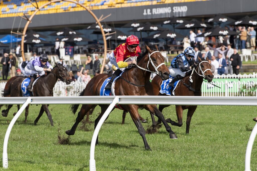 Horse race in progress on a grassy track, with jockeys in colorful silks and a crowded grandstand in the background.