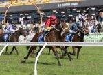 Horse race in progress on a grassy track, with jockeys in colorful silks and a crowded grandstand in the background.