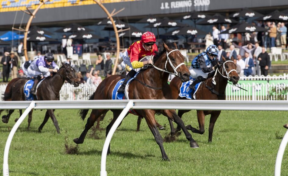 Horse race in progress on a grassy track, with jockeys in colorful silks and a crowded grandstand in the background.
