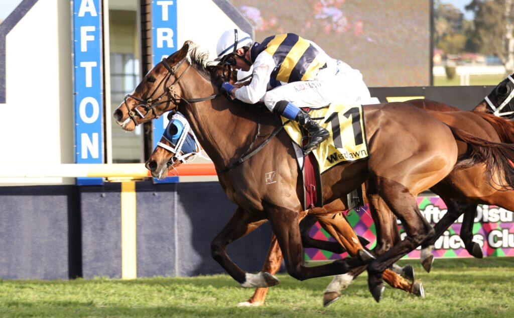 Two jockeys ride racehorses at full speed, leaning forward as they sprint down the track beside blue finish-line barriers.