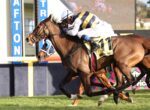 Two jockeys ride racehorses at full speed, leaning forward as they sprint down the track beside blue finish-line barriers.