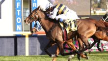 Two jockeys ride racehorses at full speed, leaning forward as they sprint down the track beside blue finish-line barriers.