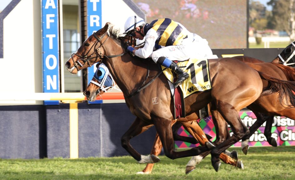Two jockeys ride racehorses at full speed, leaning forward as they sprint down the track beside blue finish-line barriers.