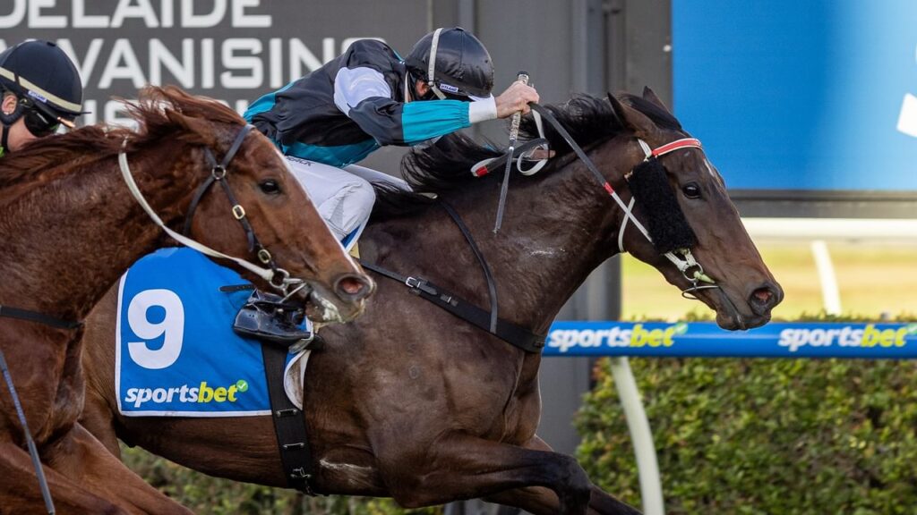 Two racehorses sprint toward the finish with jockeys leaning forward; horse wearing blue number 9 saddlecloth with a sportsbet logo on the side.