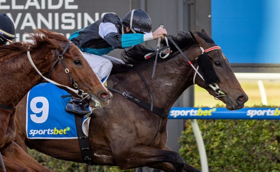 Two racehorses sprint toward the finish with jockeys leaning forward; horse wearing blue number 9 saddlecloth with a sportsbet logo on the side.
