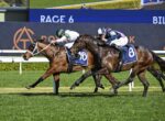Two jockeys race their galloping horses on a sunny turf track with a blue advertising backdrop behind them.