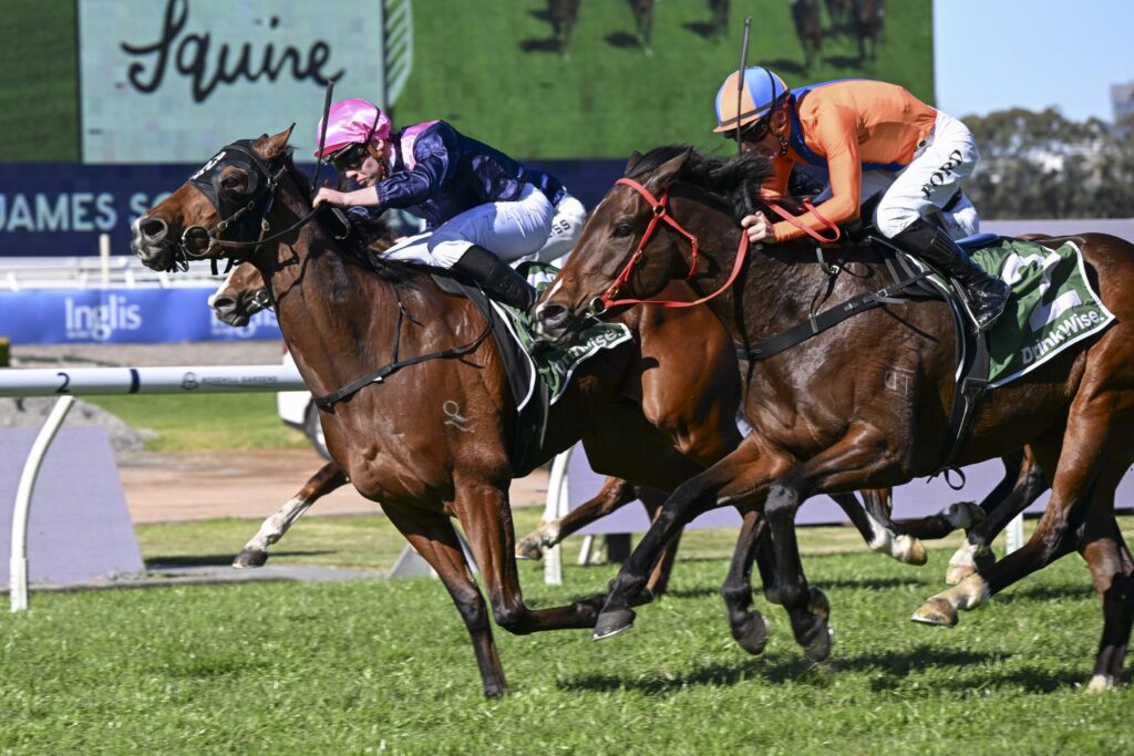 Jockeys race side by side on brown horses, wearing bright pink and orange silks, in a grassy track.