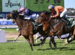 Jockeys race side by side on brown horses, wearing bright pink and orange silks, in a grassy track.