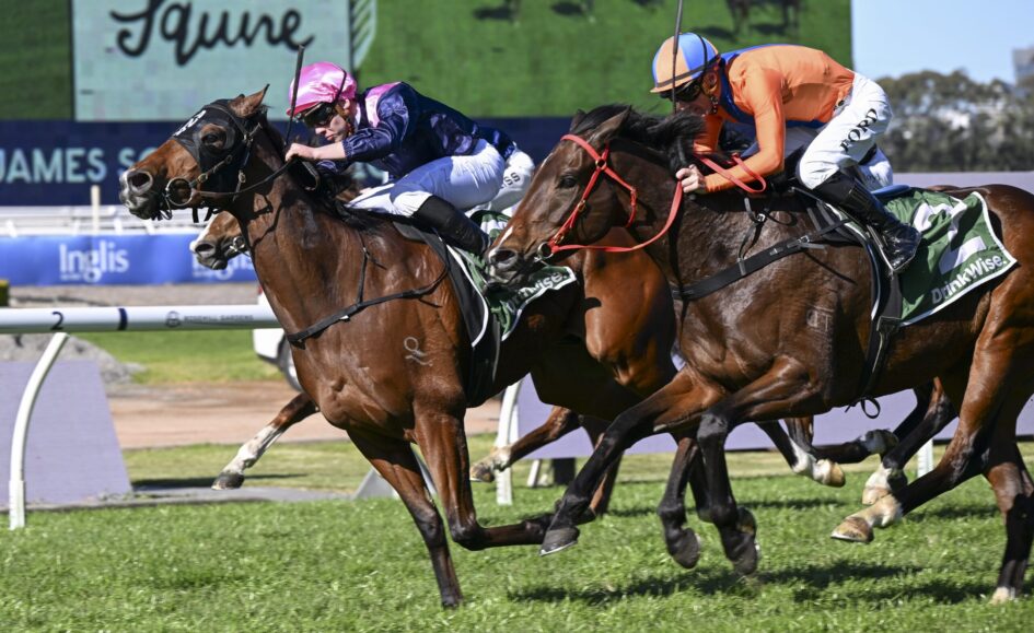 Jockeys race side by side on brown horses, wearing bright pink and orange silks, in a grassy track.