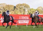 Two jockeys race on galloping horses near a bright red advertising barrier that reads 'TOYOTA FORKLIFTS' during a daytime race.