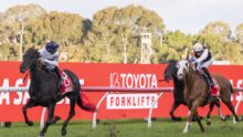 Two jockeys race on galloping horses near a bright red advertising barrier that reads 'TOYOTA FORKLIFTS' during a daytime race.