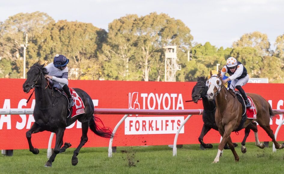 Two jockeys race on galloping horses near a bright red advertising barrier that reads 'TOYOTA FORKLIFTS' during a daytime race.