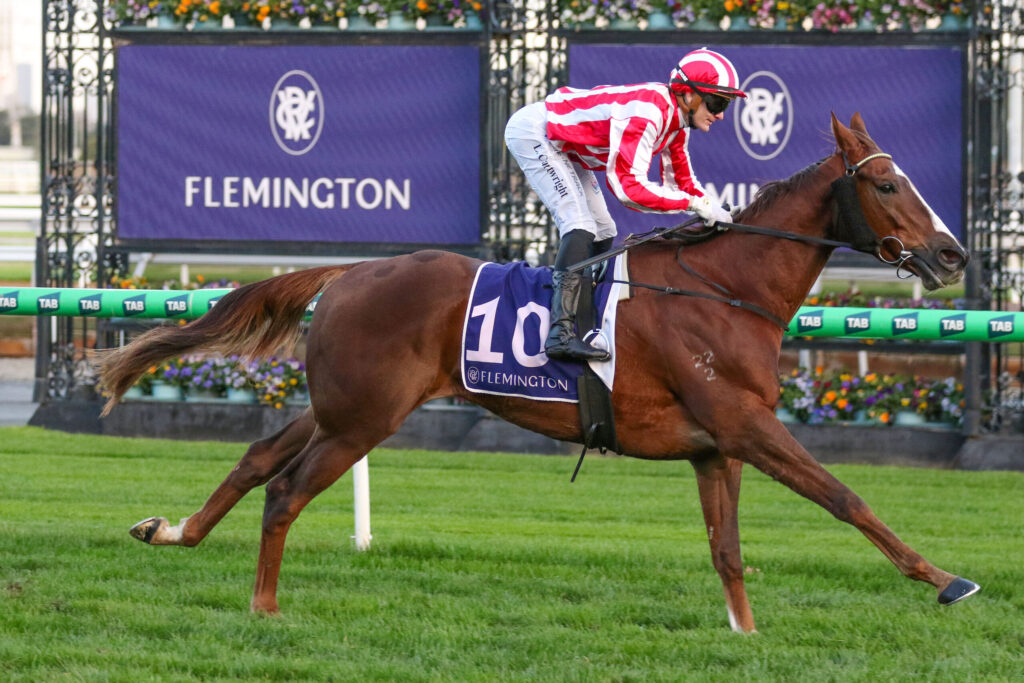 Jockey in red-and-white striped silks rides a fast brown horse during a race at Flemington Racecourse; green turf and purple banners in the background.
