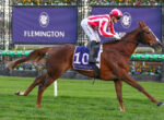 Jockey in red-and-white striped silks rides a fast brown horse during a race at Flemington Racecourse; green turf and purple banners in the background.