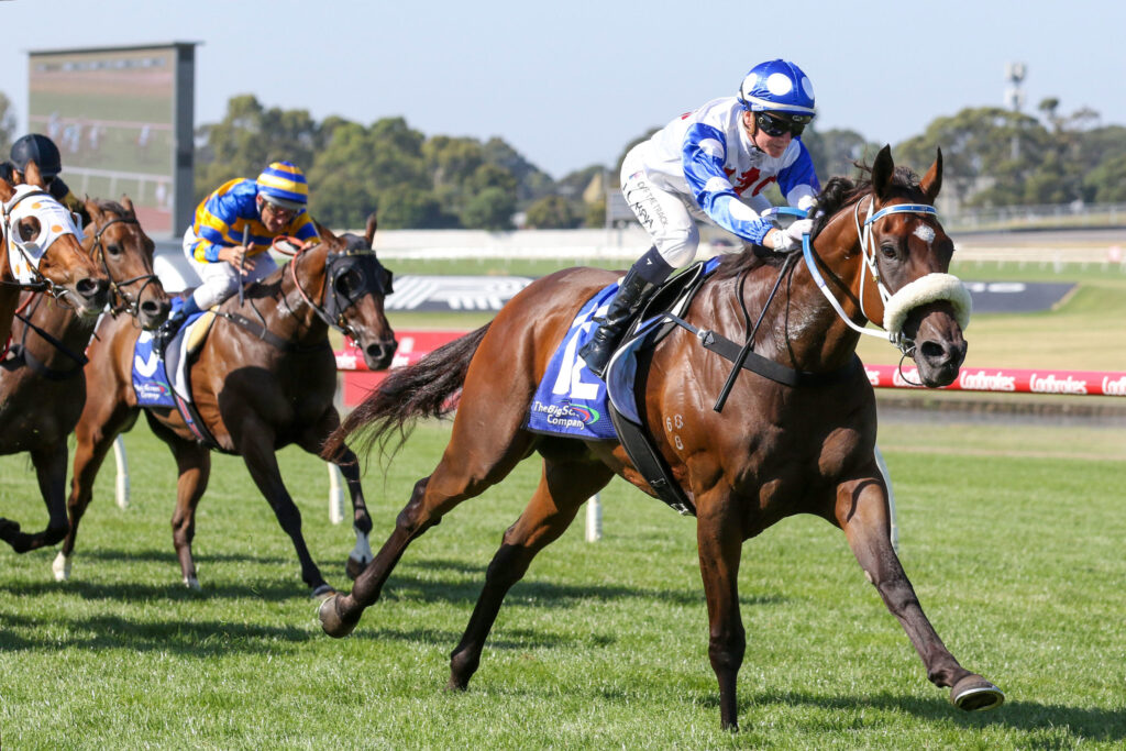 Jockeys race at full speed on a sunny racetrack, with a blue-and-white-clad rider leading a brown horse. Behind him, other horses and riders compete on the grass field.