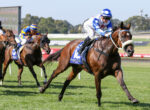 Jockeys race at full speed on a sunny racetrack, with a blue-and-white-clad rider leading a brown horse. Behind him, other horses and riders compete on the grass field.