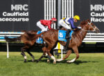 Two jockeys race side by side on brown horses at Caulfield Racecourse, green infield visible and large MPC Caulfield Racecourse sign in the background.