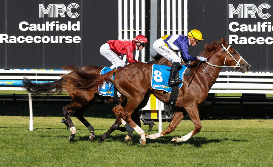 Two jockeys race side by side on brown horses at Caulfield Racecourse, green infield visible and large MPC Caulfield Racecourse sign in the background.