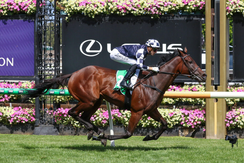 Jockey in checkered silks riding a brown horse over a hurdle at a sunny racecourse, with flower decorations in the background