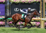 Jockey in checkered silks riding a brown horse over a hurdle at a sunny racecourse, with flower decorations in the background