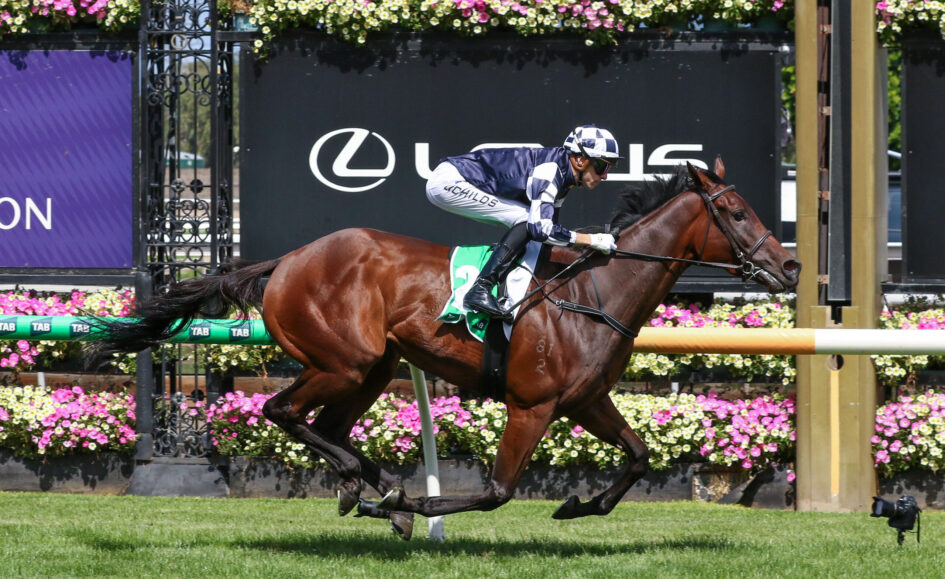Jockey in checkered silks riding a brown horse over a hurdle at a sunny racecourse, with flower decorations in the background