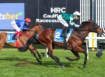 Two jockeys wearing blue and green silks race side by side on brown horses, near the finish line on a grassy track with advertising boards in the background.