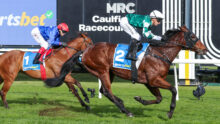 Two jockeys wearing blue and green silks race side by side on brown horses, near the finish line on a grassy track with advertising boards in the background.