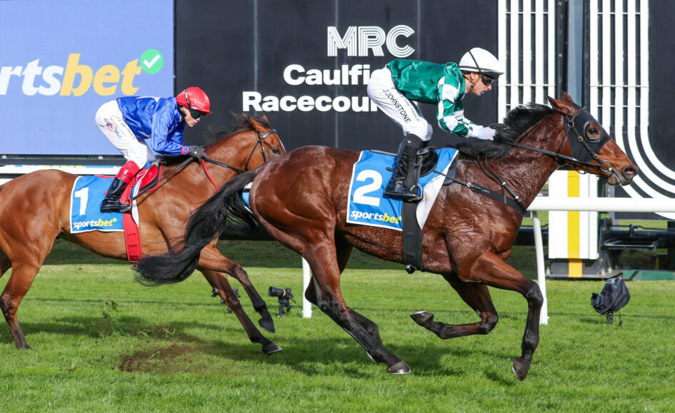 Two jockeys wearing blue and green silks race side by side on brown horses, near the finish line on a grassy track with advertising boards in the background.