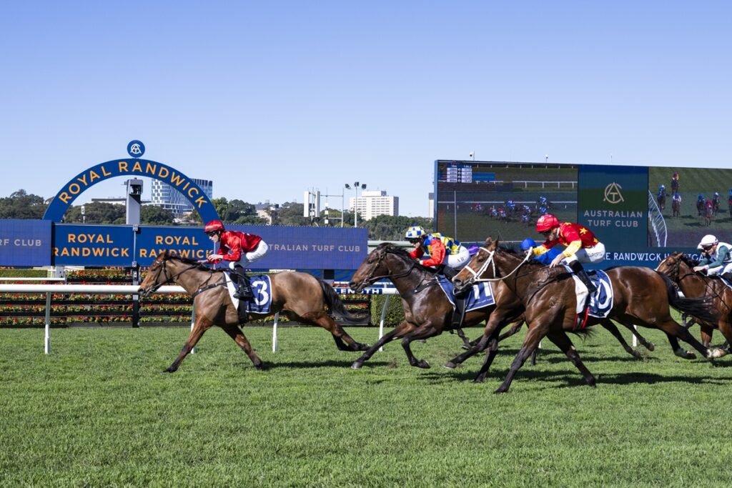 Horse race at Royal Randwick racecourse with jockeys in red and blue silks sprinting on green turf under a clear blue sky, signage in the background.