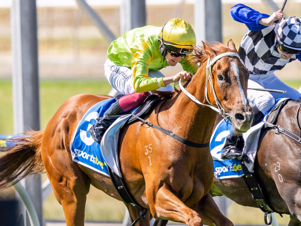 Two jockeys ride racehorses at full speed in a close horse race on a sunny track, leaning forward.