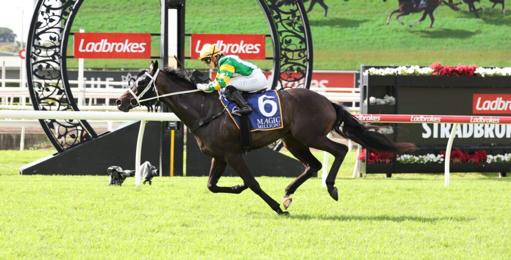 Horse and jockey jump over a hurdle at a Ladbrokes-sponsored racecourse on green grass.