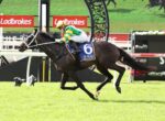 Horse and jockey jump over a hurdle at a Ladbrokes-sponsored racecourse on green grass.