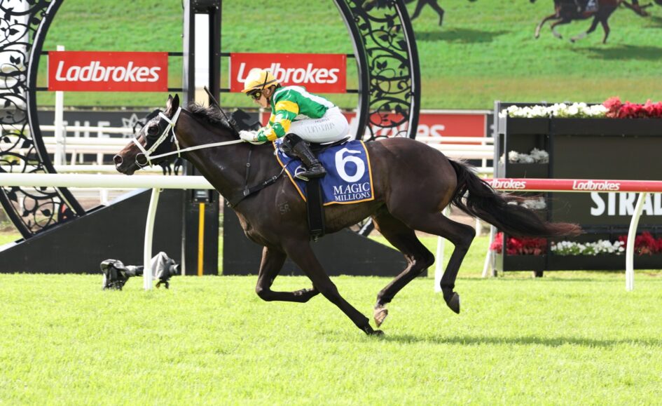 Horse and jockey jump over a hurdle at a Ladbrokes-sponsored racecourse on green grass.