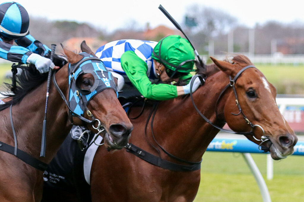 Close-up of two jockeys urging their horses during a race, green and blue silks, sprinting on a track.
