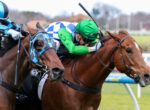 Close-up of two jockeys urging their horses during a race, green and blue silks, sprinting on a track.
