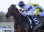 Jockey in blue helmet and white silks leans forward on a dark brown horse during a race, with a green-and-yellow rider behind in a blurred background.