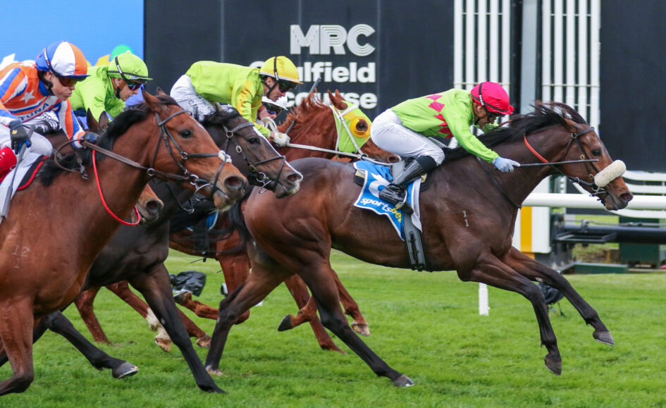 Jockeys in bright silks aboard galloping horses on a turf racetrack, with a large MRC sign in the background.