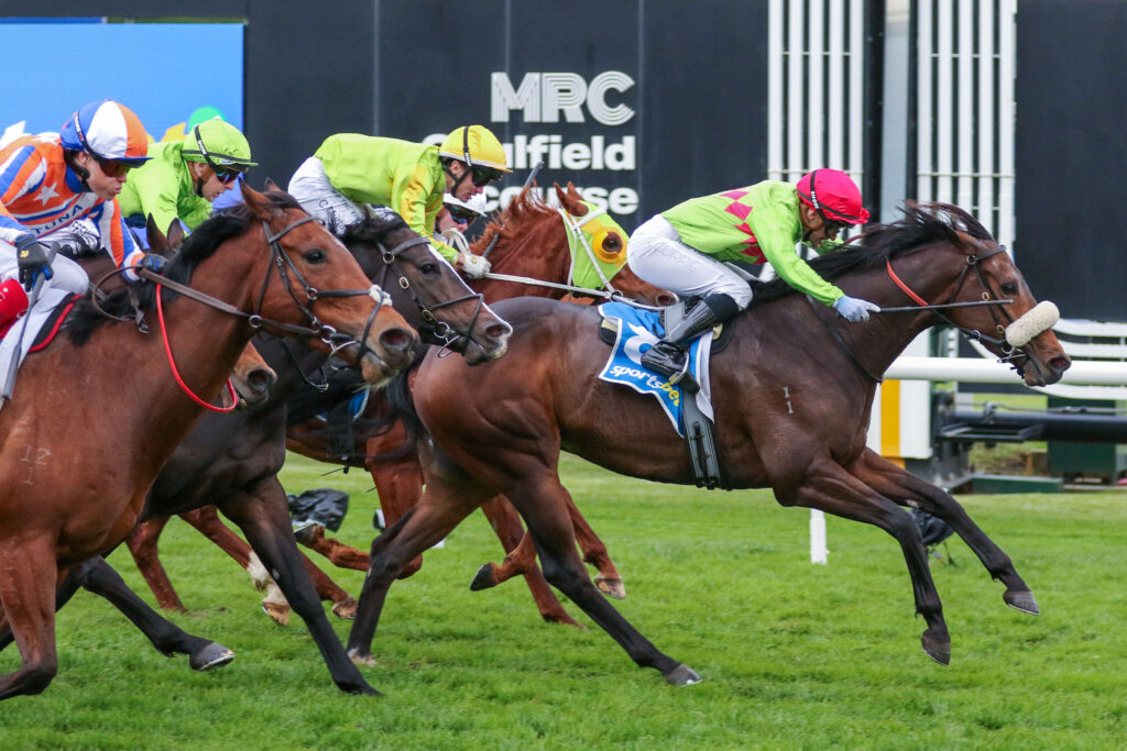Jockeys in colorful silks race side by side on a grassy turf, leaning forward in a high-speed horse race image.