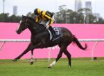 Jockey in yellow and black silks rides a dark horse during a race on a grassy track with a pink barrier nearby.